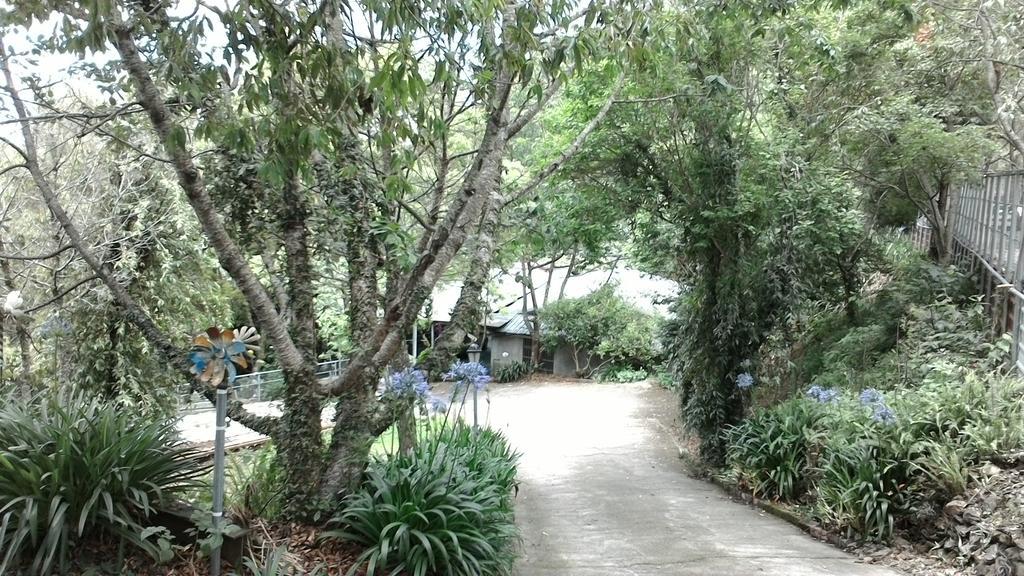 Qing Jing Xiao Taiyang Jingguan Homestay Ren'ai Esterno foto